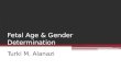 Fetal age & gender determination