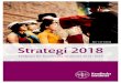 Strategi 2018