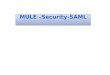 Mule  security - saml