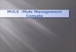 Mule  mule management console