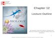 Biology 201 Chapter 12 PowerPoint