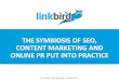 The Symbiosis of SEO, Content Marketing and Online PR Put into Practice