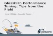 Glass fish performance tuning tips from the field