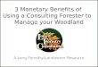 3 Monetary Benefits of Using a Consulting Forester