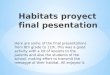 Habitat's project