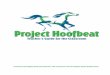 Project Hoofbeat