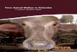 Farm Animal Welfare: Columbia (PDF 2.28MB)