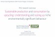 PhD overview: Sustainable production and consumption by upcycling - Understanding and scaling up niche environmentally significant behaviour