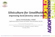 Silviculture for Smallholders: improving local forestry value chains