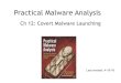 Practical Malware Analysis Ch12