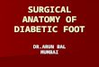 1362562807 surgical anatomy of diabetic foot