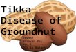 Tikka disease of groundnut