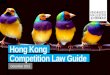 KWM Hong Kong Competition Law Guide (EN)