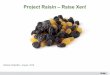 XDS15: Project Raisin