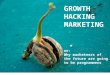 Growth hacking - An overview by Stefan Frisch (english version)