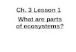 4th Grade-Ch. 3 Lesson 1 What are Parts of Ecosystems