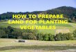 Vegetable production presentation