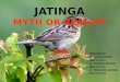 Jatinga,Assam (Hotspot of Biodivesity)