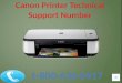 1 800-636-0917 canon printer technical support number