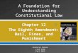 Constitutional Issues - Chapter 12