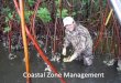 Coastal zone management