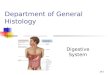 Histology 21-Digestive-system