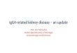 IgG4-related kidney disease – an update