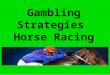 Gambling strategies horse racing
