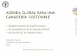 La Agenda Global de Desarrollo Ganadero Sostenible y Desafíos del sector en ALC para su implementación