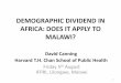 Demographic Dividend in Africa: Does it Apply to Malawi?