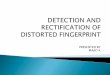 Detection and rectification of distorted fingerprint