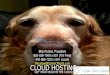 Cloud Hosting v2CO3