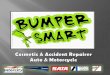 Bumper Smart Profile Standard NEW Aug 2015