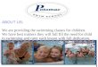 Swimming Classes for Your Child