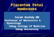 Placenta & Fetal membrane.Prof.Salah Roshdy