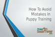 How to Avoid Common Mistakes Puppy Training Mistakes