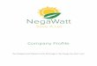 NegaWatt Ltd Company Profile 2017