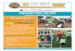 Be Part of a Healthy, Safe and Thriving San Diego! 5K Live Well San DIego