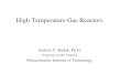 Safety Issues for High Temperature Gas Reactors