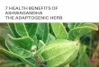 7 Health Benefits of Ashwagandha the Adaptogenic Herb