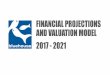 Bluehouse Market Financial Projections and Valuation Model