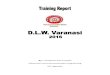 Training report DLW