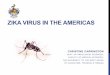 Zika Virus in the Americas