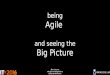 Being Agile and Seeing Big Picture