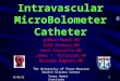 080 intravascular micro bolometer catheter
