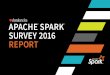 2016 spark survey