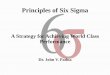 Principles of Six Sigma