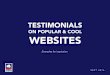 Website Testimonials Examples