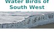 Water Birds of SW Florida