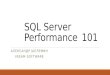 Александр Шелёмин «SQL Server Performance 101»